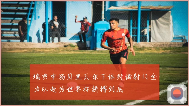 瑞典中场贝里瓦尔下体封堵射门全力以赴为世界杯拼搏到底